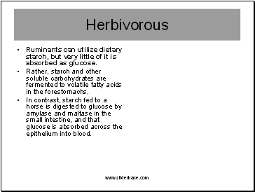 Herbivorous