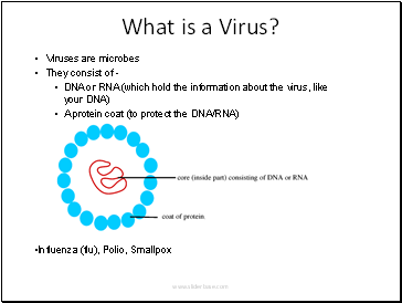 What is a Virus?