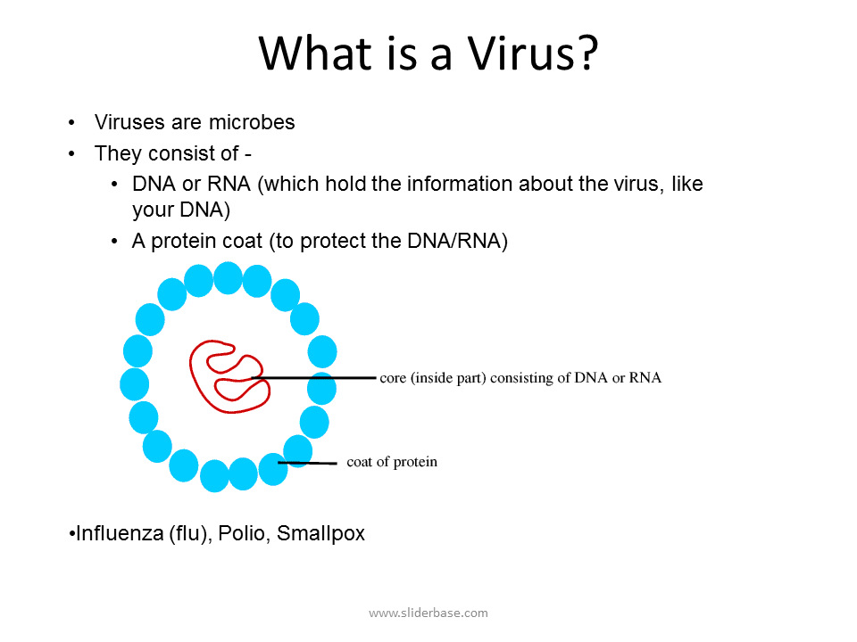 Like virus. DNA consists of. Global HIV fact Sheet 2022. Have you had smallpox polio probably.