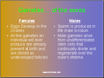 Gametes