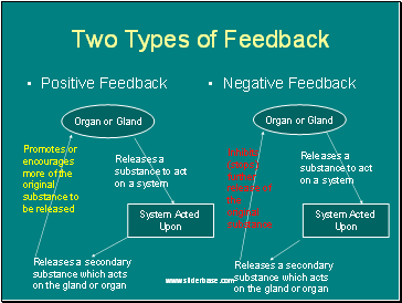 Two Types of Feedback