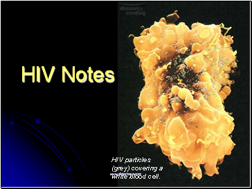HIV Notes