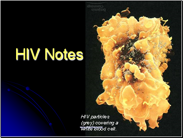 Human Imunnodeficiency Virus