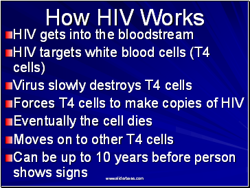 How HIV Works