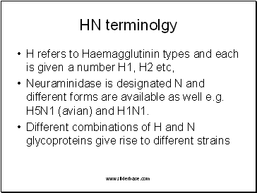 HN terminolgy