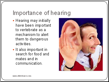 Importance of hearing