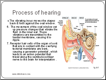 Process of hearing