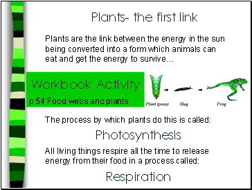 Plants- the first link