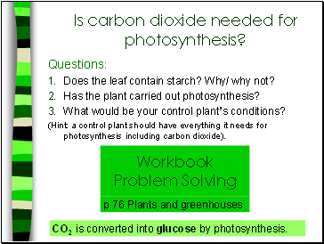 Is carbon dioxide needed for photosynthesis?