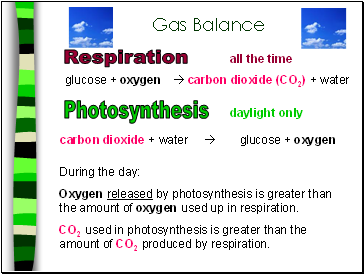 Gas Balance