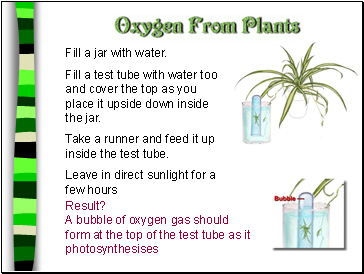 Fill a jar with water.