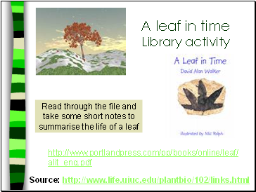 A leaf in time Library activity