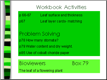 Workbook Activities