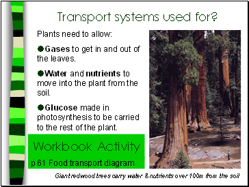 Transport systems used for?