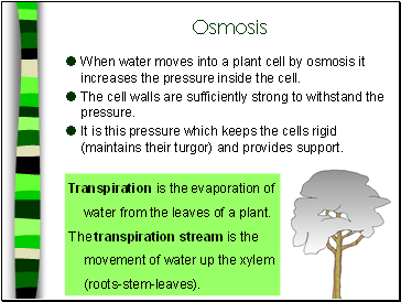 Osmosis