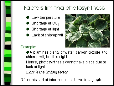 Factors limiting photosynthesis