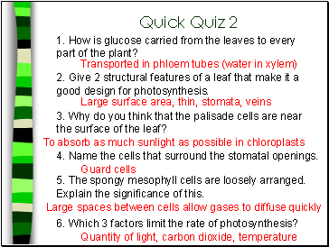 Quick Quiz 2