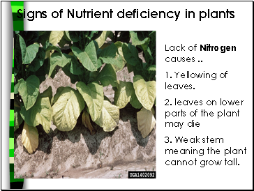 Signs of Nutrient deficiency in plants
