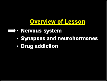 Overview of Lesson