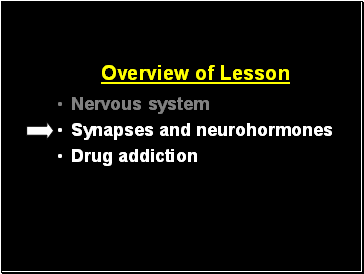 Overview of Lesson