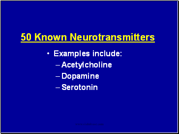 50 Known Neurotransmitters