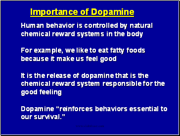 Human behavior is controlled by natural chemical reward systems in the body