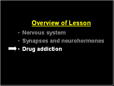 Overview of Lesson