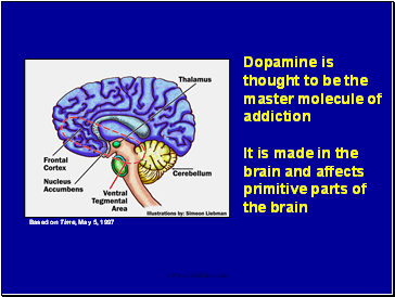 Dopamine is thought to be the master molecule of addiction