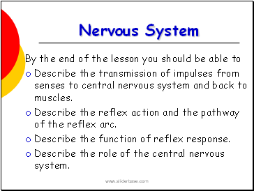 Nervous system