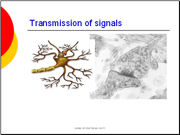 Transmission of signals