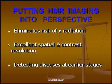 Putting Nmr Imaging Into Perspective