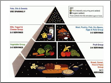 Nutrition 2