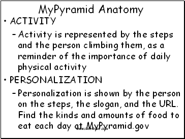 MyPyramid Anatomy