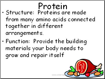 Protein