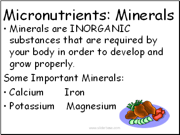 Micronutrients: Minerals