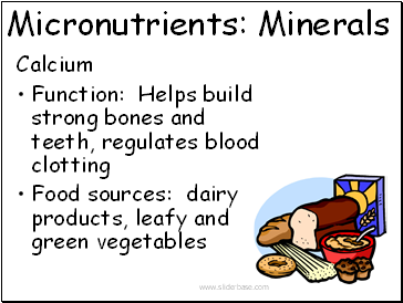 Micronutrients: Minerals