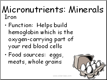 Micronutrients: Minerals