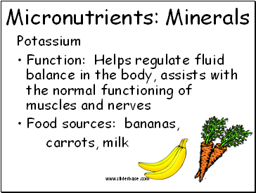 Micronutrients: Minerals