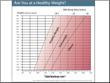 Nutrition 2