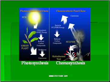 Photosynthesis