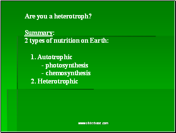 Are you a heterotroph?