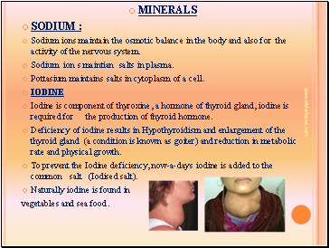 Minerals