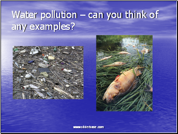 Water pollution