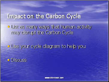 Impact on the Carbon Cycle