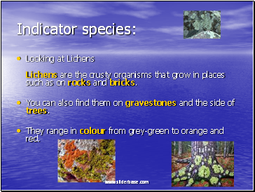 Indicator species: