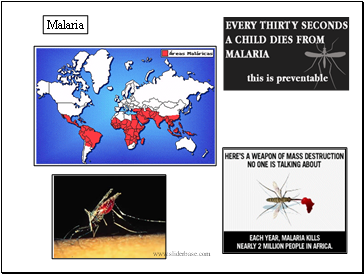 Malaria