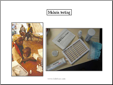 Malaria testing