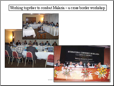 Working together to combat Malaria � a cross border workshop