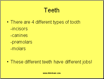 Teeth