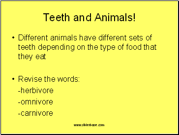 Teeth and Animals!